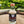 Load image into Gallery viewer, Island Coast ‘Mandarin Infused’ Vodka