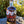 Load image into Gallery viewer, Chilli Rum