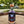 Load image into Gallery viewer, Island Coast ‘Espresso Martini’ Vodka