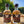 Load image into Gallery viewer, 200ml Island Coast Whisky limited release