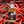 Load image into Gallery viewer, Chilli Rum
