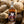 Load image into Gallery viewer, Island Coast Spirits Ginger Rum
