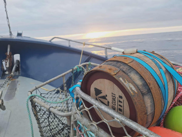 Squizzy Taylor Aussie Lobster Man Ginger Rum